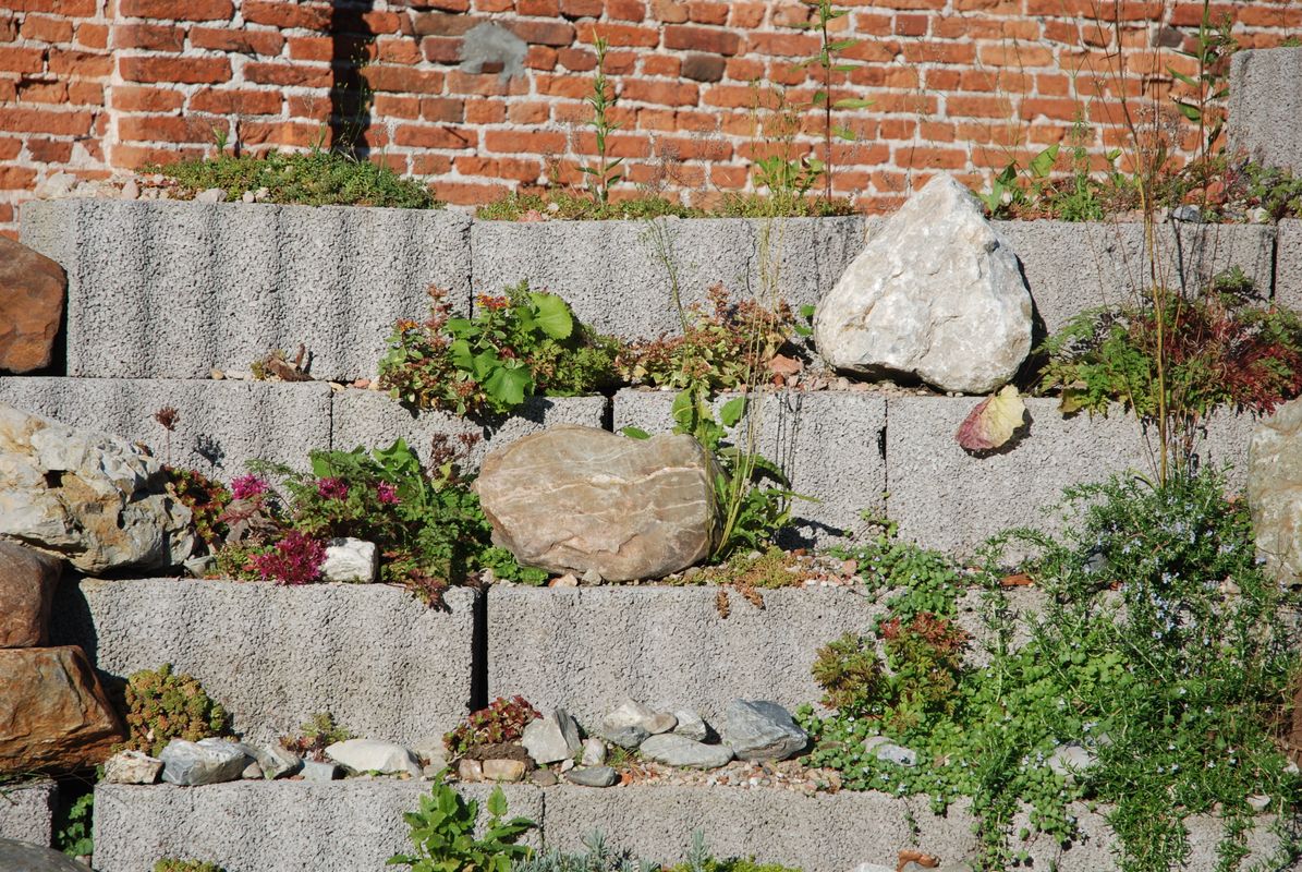 Création de jardin